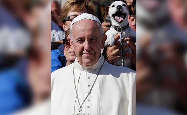 Look Who Photobombed Pope Francis At The Vatican In This Brilliant Pic
