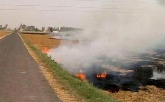 Penalty Imposed In 1,406 Cases Of Stubble Burning In Haryana