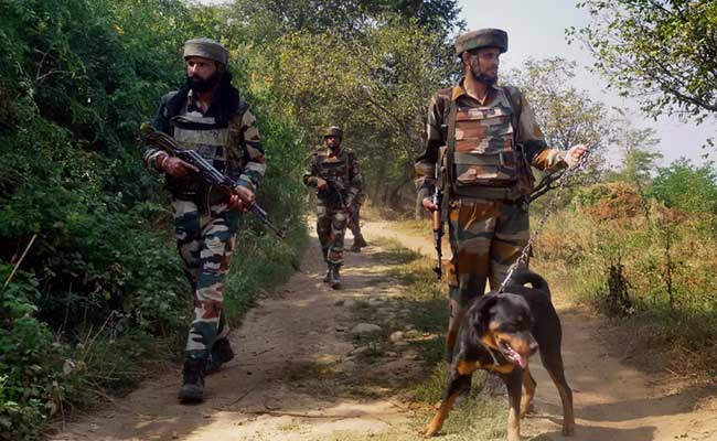 Security Forces Launch Anti-Terror Operations In Kashmir's Kupwara