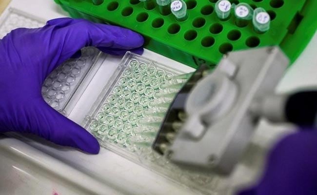 IIT Jodhpur Develops Flexible Sensors For Early Cancer Detection