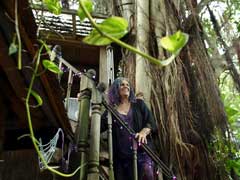 It's My Tree, Let Me Be: Woman Tries To Save Leafy Abode