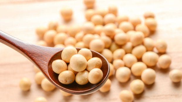 Soy Foods May Increase Survival Chances in Breast Cancer Patients