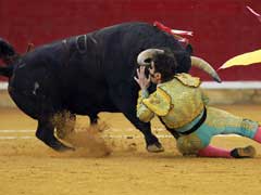 Spain's Top Court Cancels Bullfighting Ban In Catalonia