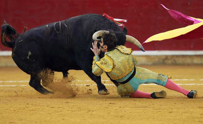 Spain's Top Court Cancels Bullfighting Ban In Catalonia