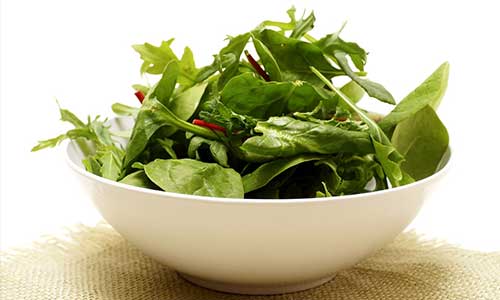 spinach health benefits of spinach