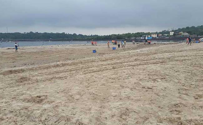 1 Year, 1,500 People, 3 Million Tons Of Trash. How Versova Beach Was Saved