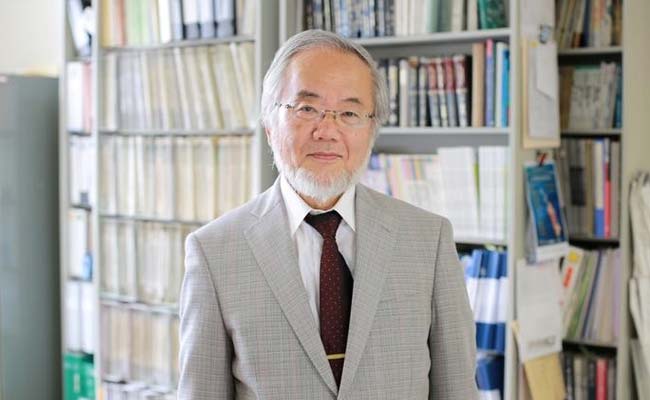 Japan's Yoshinori Ohsumi Wins Nobel Prize In Medicine