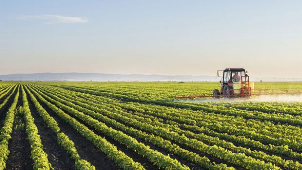 Rising Urban-Rural Gap Not Good; Need to Promote Agriculture Sector:Naidu