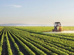 Africa Must Act Now if it is to Feed Itself in 2050: Scientists Africa Must Act Now if it is to Feed Itself in 2050: Scientists