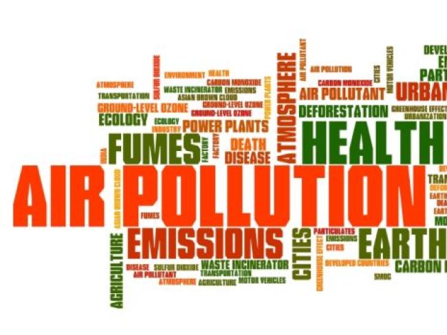 दिल्ली सरकार ने वायु प्रदूषण को कम करने के लिए सुझाए कई उपाय