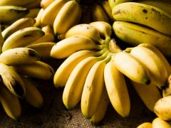 How to Stop Bananas From Spoiling: 5 Smart Tricks