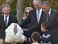 Barack Obama Pardons Last Turkey In Thanksgiving Tradition