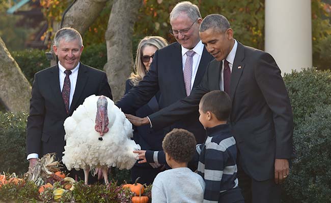 Barack Obama Pardons Last Turkey In Thanksgiving Tradition