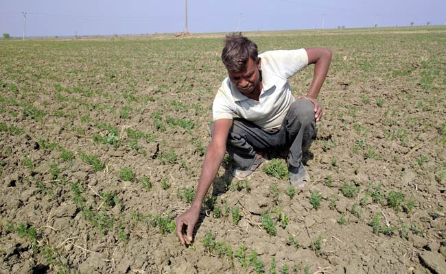Political Parties Come Knocking At The Doors Of Drought-Hit Bundelkhand