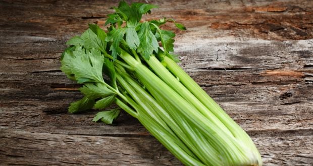 celery