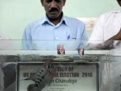 पानी में रहने वाले 'राजनीतिक पंडित' की भविष्यवाणी, अमेरिका में जीत मिलेगी .......... को...