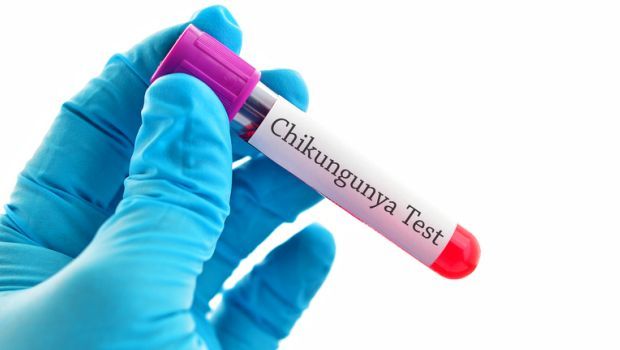 Confirmed Cases of Chikungunya Soar in Brazil