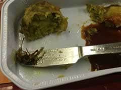 Cockroach In Meal Served On Air India Flight, Probe Ordered