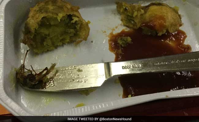 Cockroach In Meal Served On Air India Flight, Probe Ordered