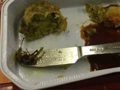 Cockroach In Meal Onboard, Air India Warns, Fines Caterer
