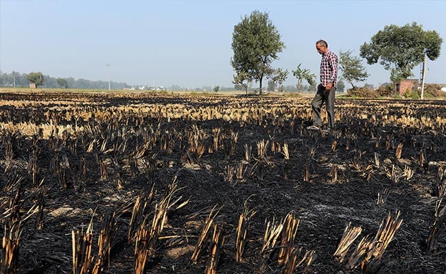 Pakistan's Punjab Government Urges Amarinder Singh To Ban Stubble Burning