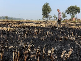 Stubble Burning: NASA Images To Help Spot Offenders In Punjab Stubble Burning: NASA Images To Help Spot Offenders In Punjab