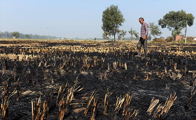 Stubble Burning: NASA Images To Help Spot Offenders In Punjab