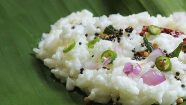 curd rice