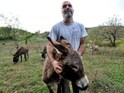 Montenegros Shunned Donkeys Milk New Health Trend