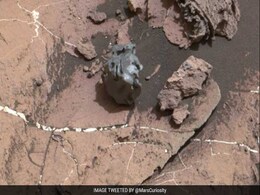 नासा के क्यूरियोसिटी रोवर ने मंगल ग्रह पर खोजा दुर्लभ ‘एग रॉक’ नासा के क्यूरियोसिटी रोवर ने मंगल ग्रह पर खोजा दुर्लभ ‘एग रॉक’