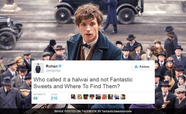 Hilarious Versions Of 'Fantastic Beasts.' Where To Find Them? On Twitter