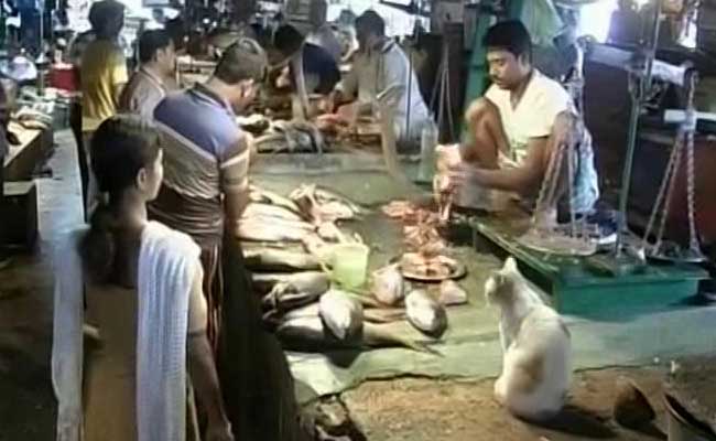 Cash Crunch Hits Fish Markets In Kolkata, Business Nosedives