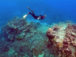 UNESCO Leaves Great Barrier Reef Off 'In Danger' List UNESCO Leaves Great Barrier Reef Off 'In Danger' List