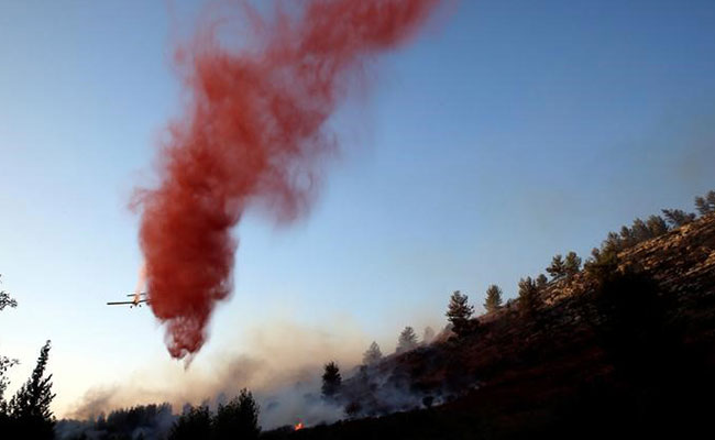 Wildfire Blamed On 'Terror' Roars Through Israeli City