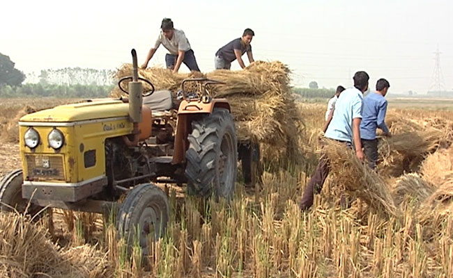 हरियाणा के इस गांव में नोटबंदी का मिलकर हो रहा है मुकाबला
