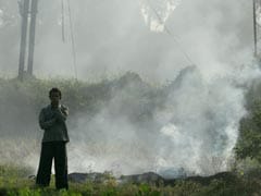 As Delhi Chokes In Toxic Air, Farmers Defend Burning Farmland
