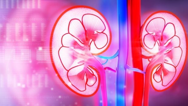 World Kidney Day: 8 Common Causes of Kidney Failure You Should Know About