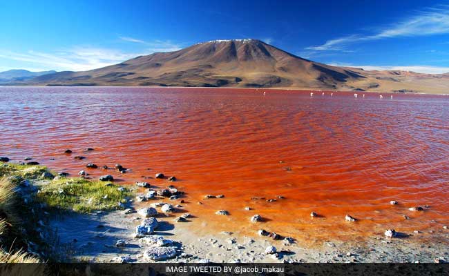 Climate, Humans Caused Decline Of Once 2nd Largest Salt Lake Urmia