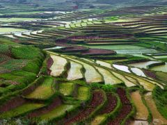 UN Warns of Hunger Threat in Southern Madagascar UN Warns of Hunger Threat in Southern Madagascar
