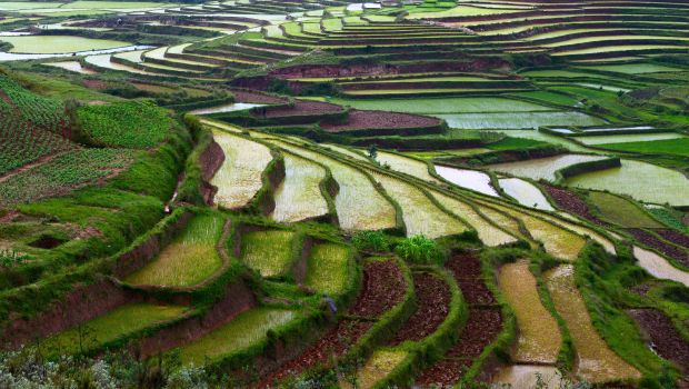 UN Warns of Hunger Threat in Southern Madagascar