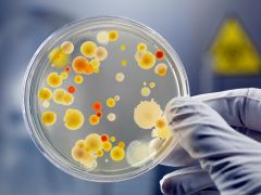 Nitrogen May Help Boost Gut Health Nitrogen May Help Boost Gut Health