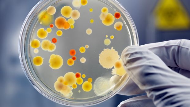 What is Antimicrobial Resistance?