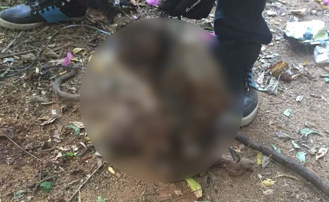 Medical Students In Tamil Nadu Torture, Kill Monkey On Campus, 4 Suspended