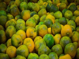 Benefits Of Mosambi: इम्यूनिटी को मजबूत बनाने में मददगार है मौसंबी, ये हैं अन्य फायदे Benefits Of Mosambi: इम्यूनिटी को मजबूत बनाने में मददगार है मौसंबी, ये हैं अन्य फायदे