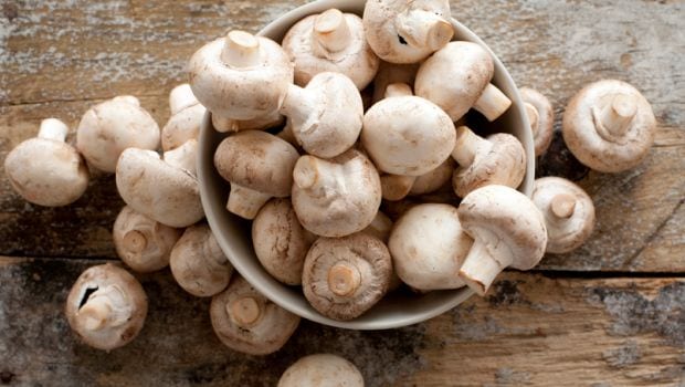 5 Amazing Reasons to Add Mushrooms to Your Daily Meals - NDTV Food