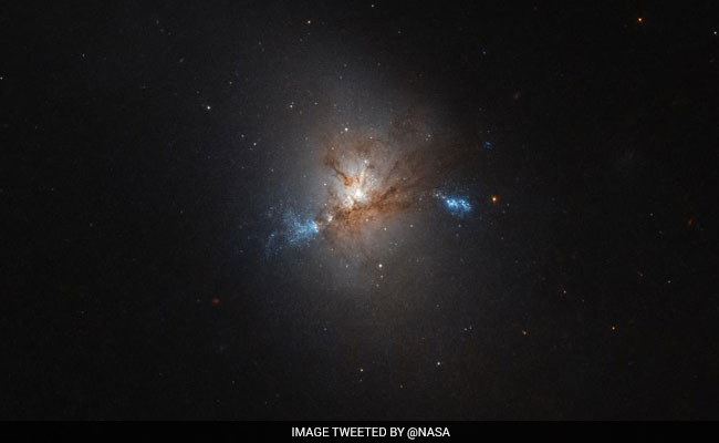 NASA Space Telescopes Spot Elusive Brown Dwarf