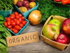 BIOFACH India: World's Leading Trade Fair for Organic Food Comes to Delhi