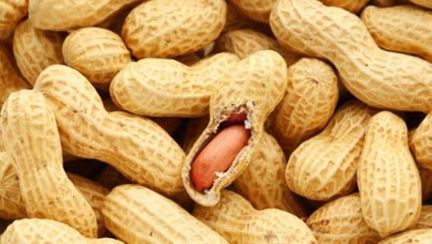 Do Peanuts Make You Gain Weight?