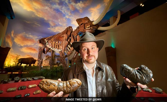Man Collects Over 1,200 Pieces Of Prehistoric Poop, Sets Guinness World Record