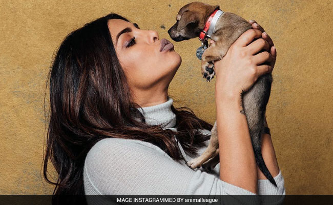 Priyanka Chopra's Instagramming About Her Adorable New Friend